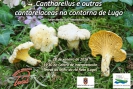 Conferencia sobre micoloxía: Cantharellus e outras cantarelaceas na contorna de Lugo